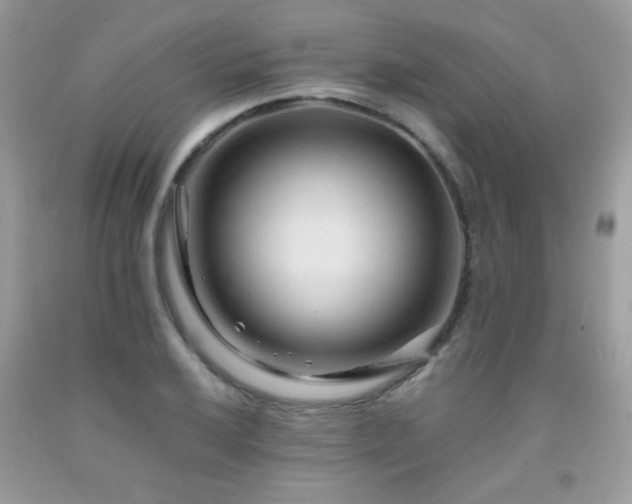 X0000091981032200709061350