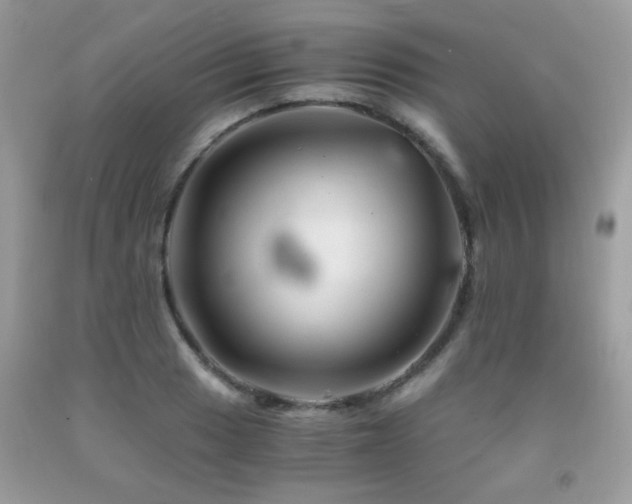 X0000091981033200709061350
