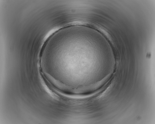 X0000091981034200709061350