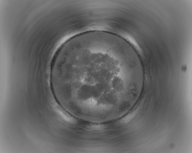 X0000091981035200709061350