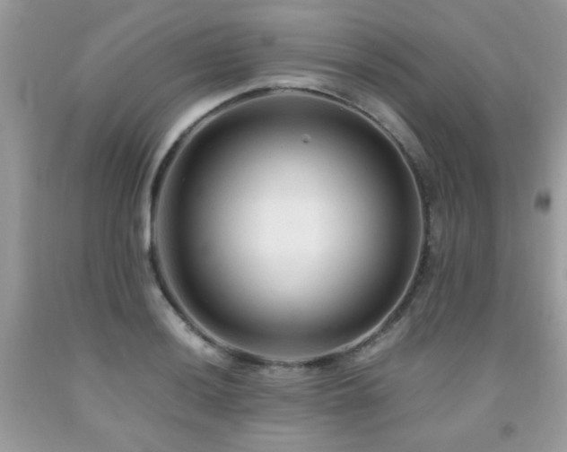 X0000091981036200709061350