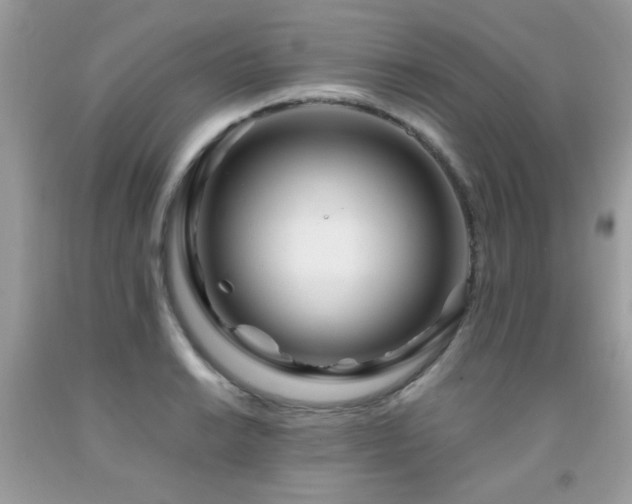 X0000091981038200709061350