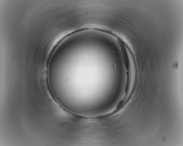 X0000091981040200709061350