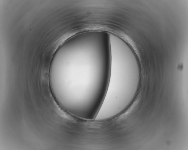 X0000091981041200709061350