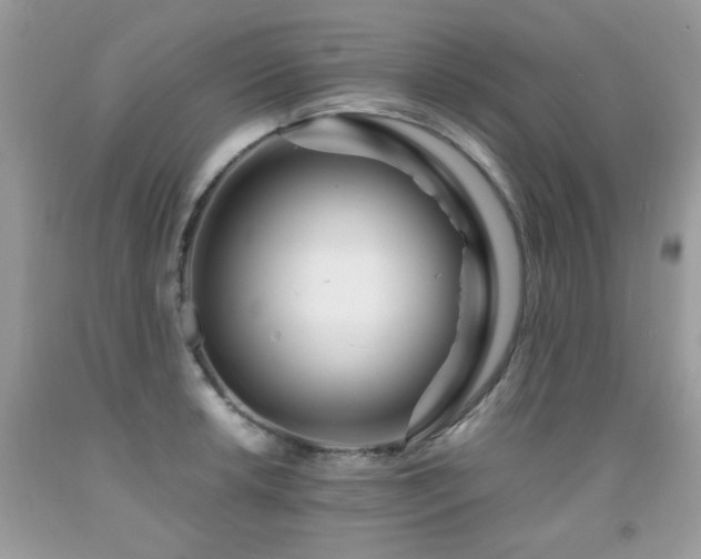 X0000091981042200709061350