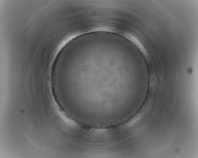 X0000091981043200709061350
