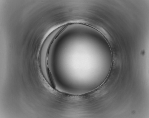 X0000091981044200709061350