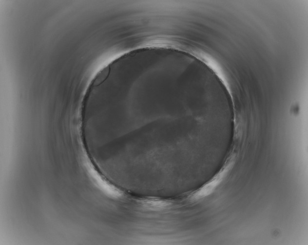 X0000091981045200709061350