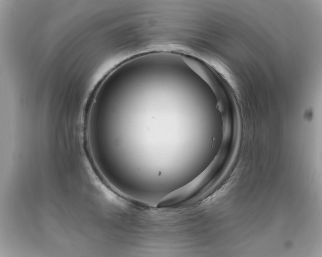 X0000091981046200709061350