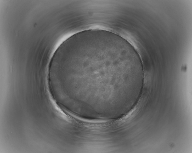 X0000091981048200709061350