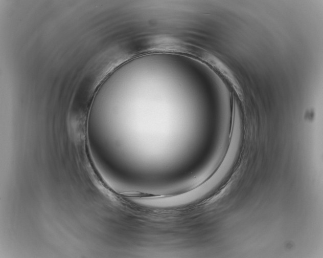 X0000091981049200709061350