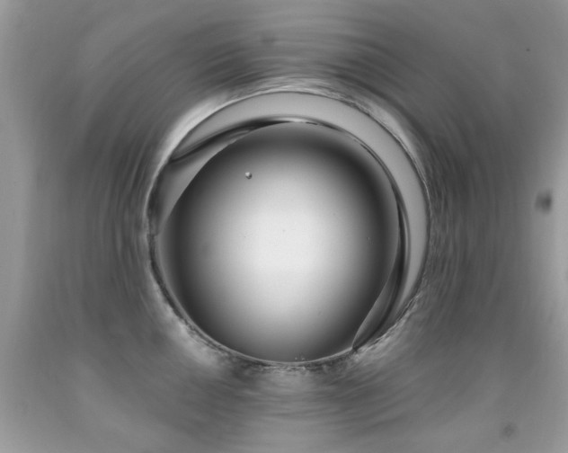 X0000091981050200709061350