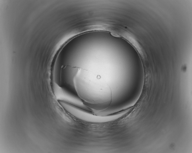 X0000091981051200709061350