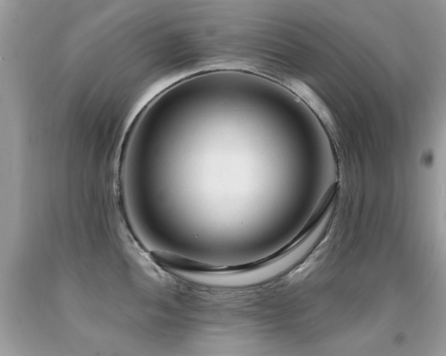 X0000091981052200709061350