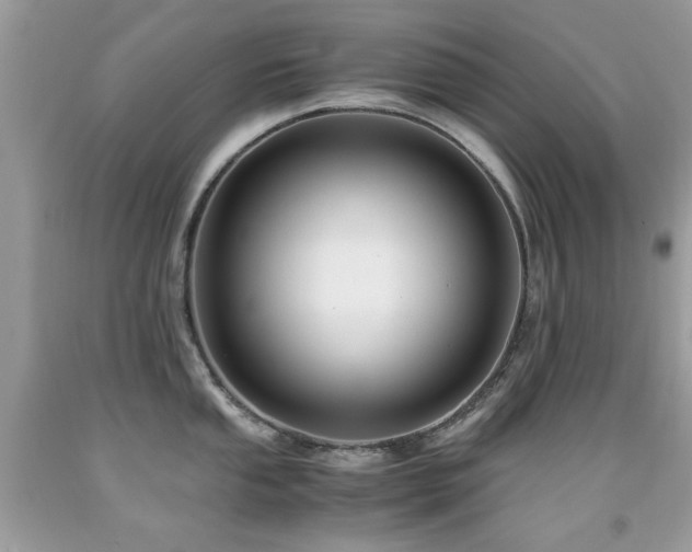 X0000091981053200709061350