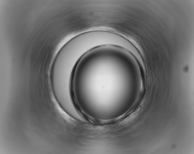 X0000091981054200709061350