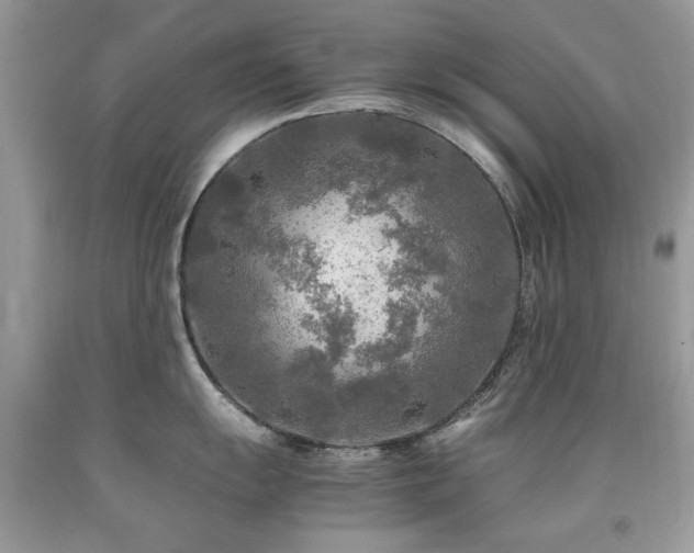 X0000091981055200709061350