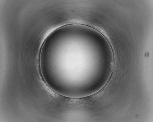 X0000091981056200709061350