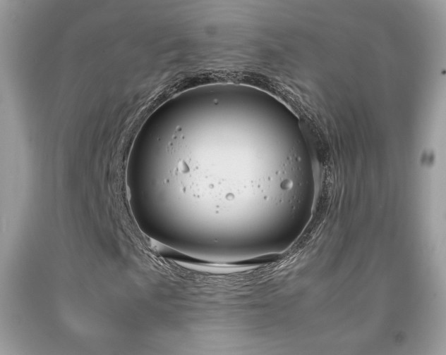 X0000091981057200709061349