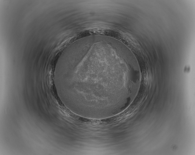 X0000091981060200709061349