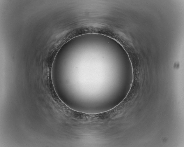 X0000091981061200709061349