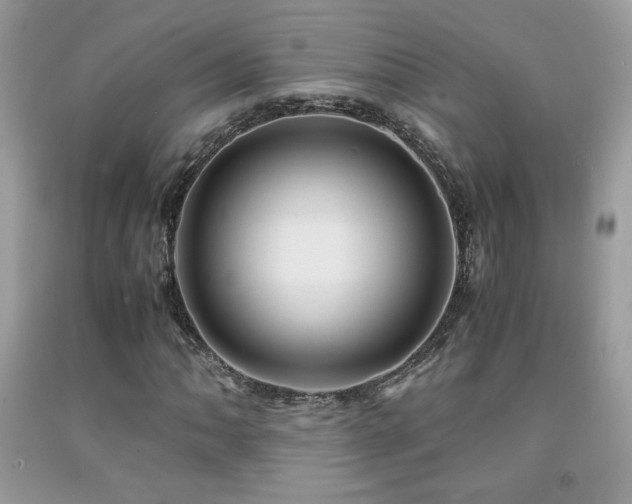X0000091981062200709061349