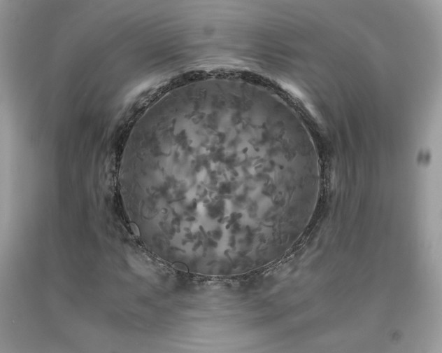 X0000091981063200709061349