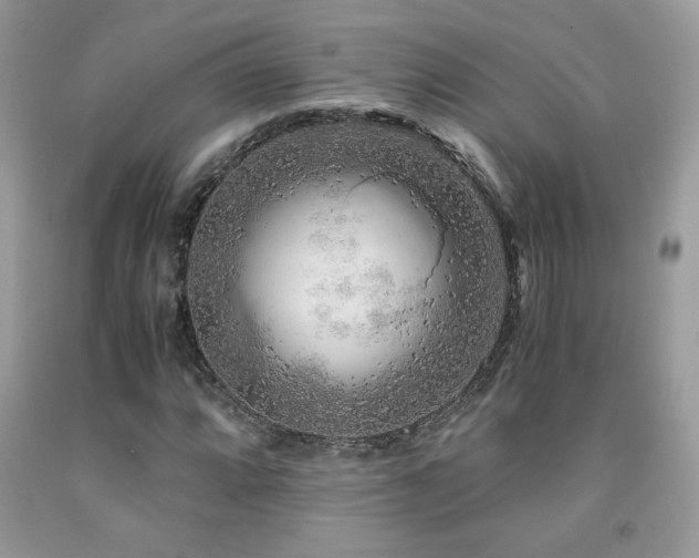 X0000091981064200709061349