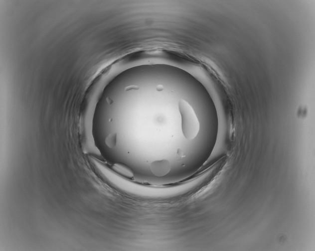 X0000091981065200709061349