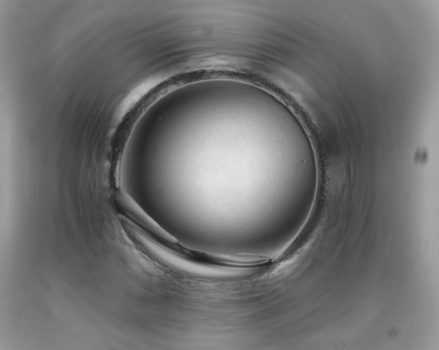X0000091981066200709061349
