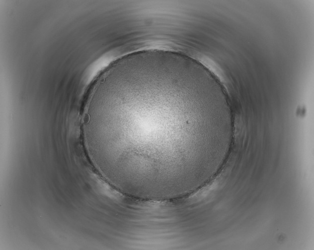 X0000091981067200709061349