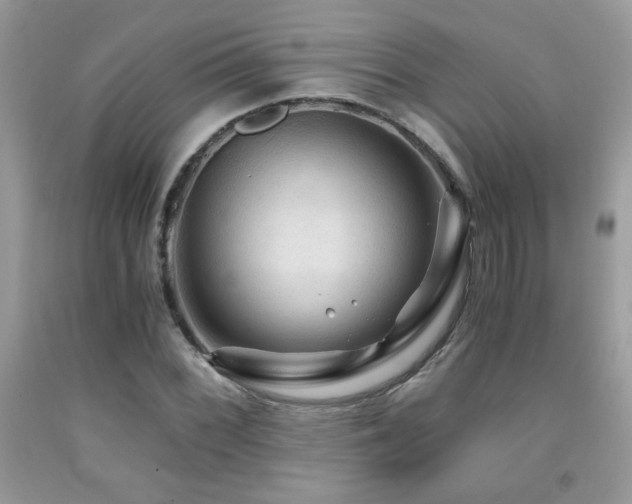 X0000091981068200709061349