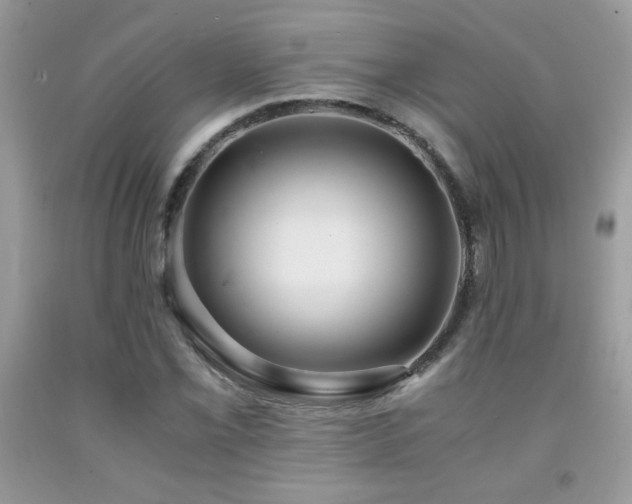 X0000091981069200709061349