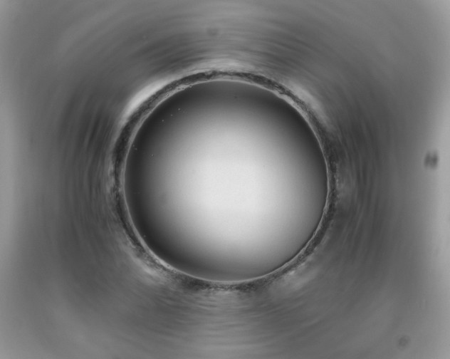 X0000091981070200709061349