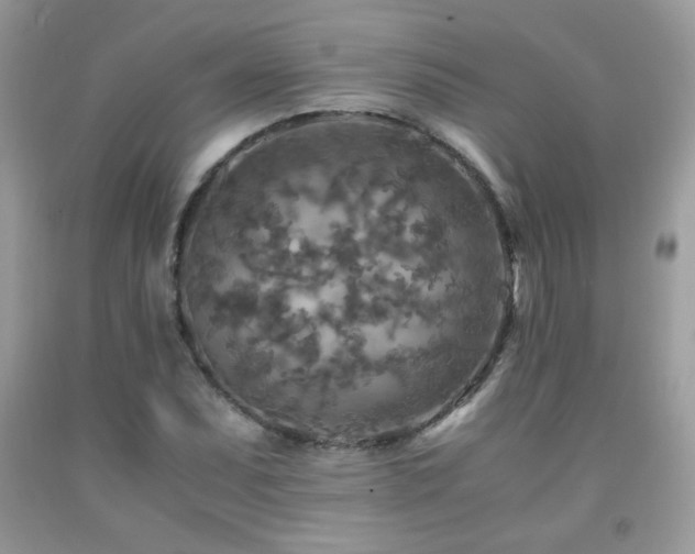 X0000091981071200709061349