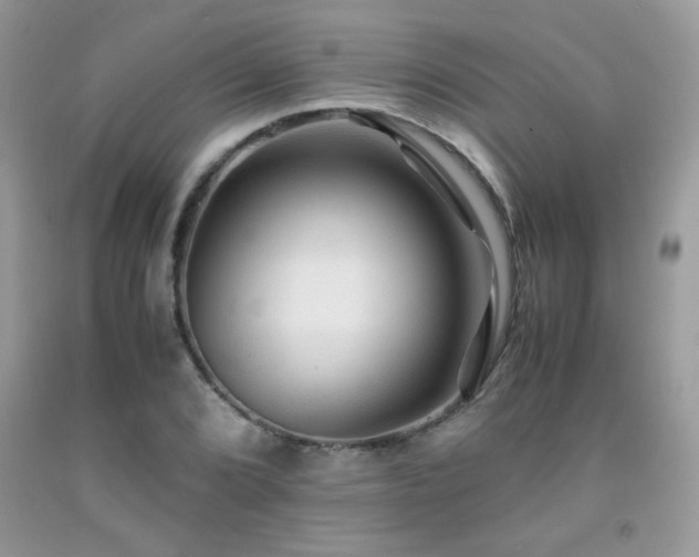 X0000091981072200709061349