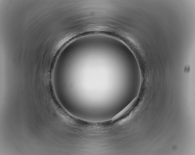 X0000091981073200709061349