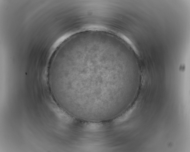 X0000091981074200709061349