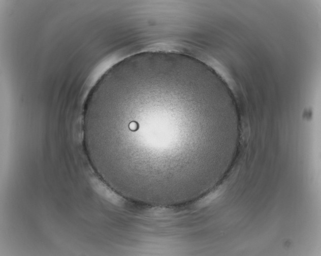 X0000091981075200709061349