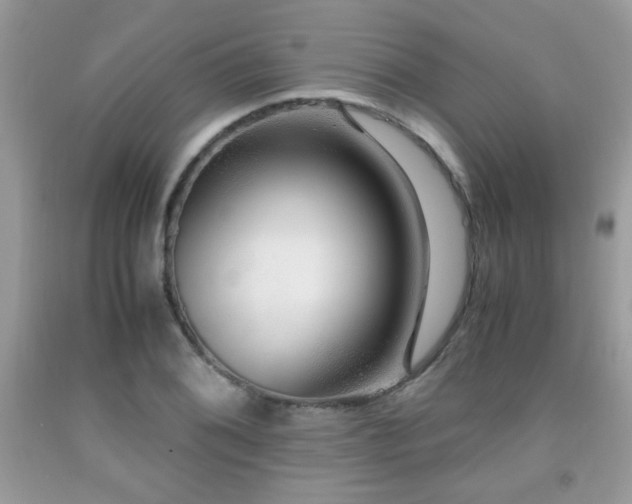 X0000091981076200709061349