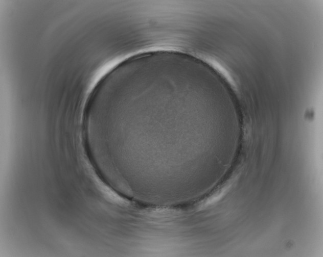X0000091981077200709061349