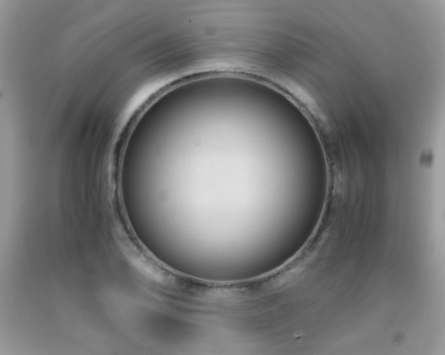 X0000091981078200709061349