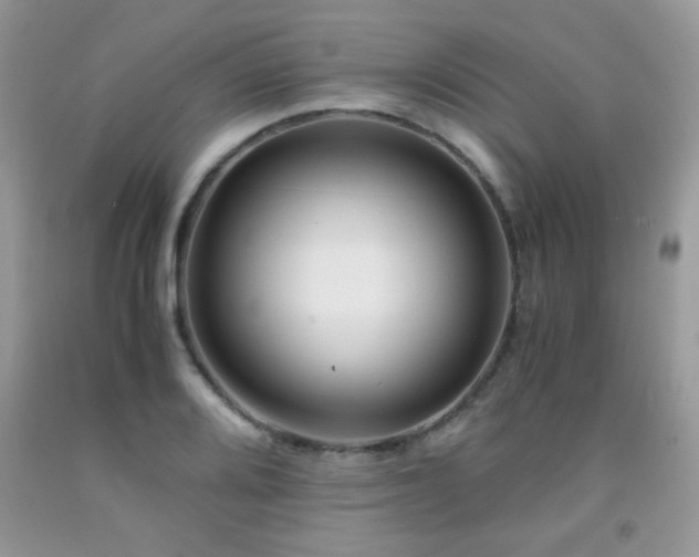 X0000091981080200709061349