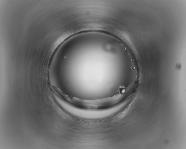 X0000091981081200709061349