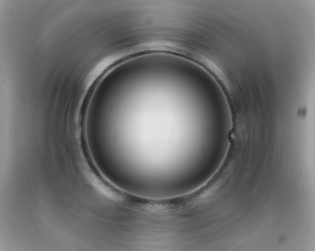 X0000091981082200709061349