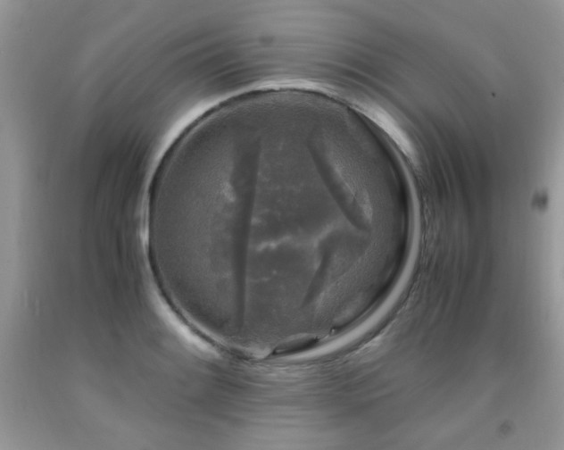 X0000091981084200709061349
