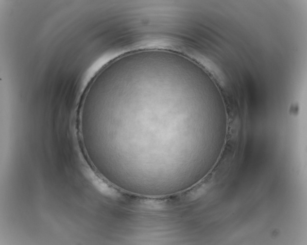 X0000091981086200709061349