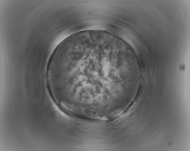X0000091981087200709061349