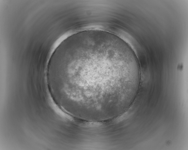 X0000091981090200709061349