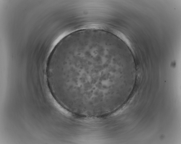 X0000091981091200709061349